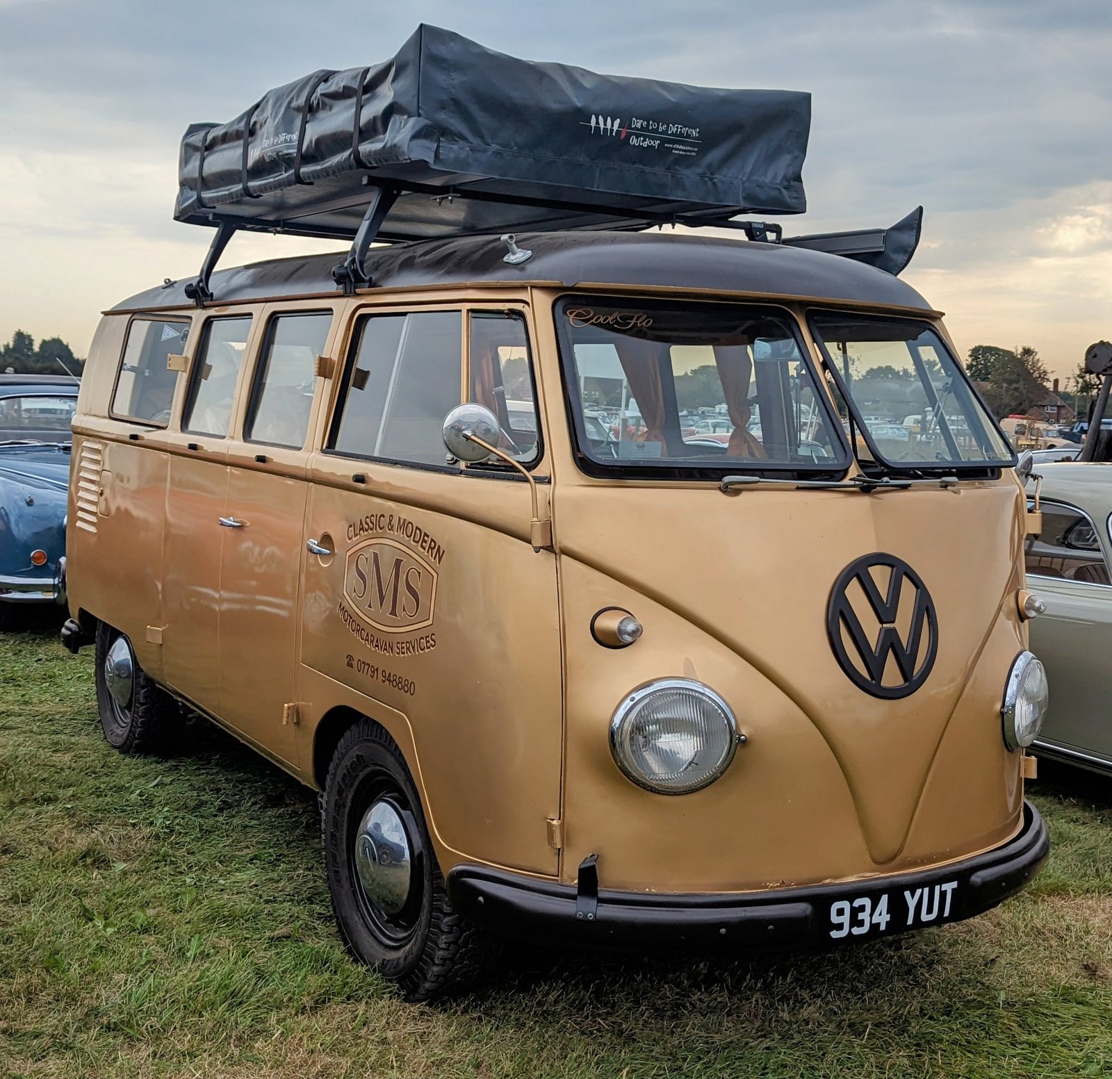 1954